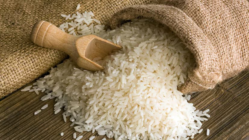 Indian long grain parboiled rice (IR 64 and IR 36)